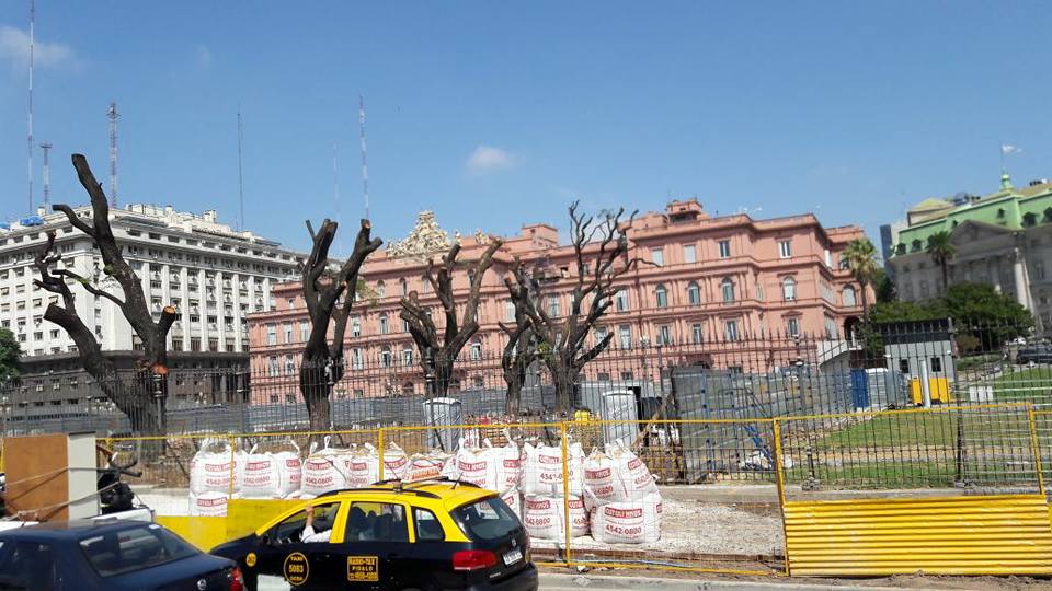 hechoenbsas's tweet photo. Plaza de Mayo. 20/2. Chau palmeras, chau tipas, chau lapachos, plátanos, higuerones #ChauTodo https://t.co/m6XCK4SLcD