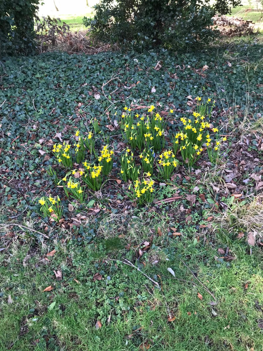 Is spring really here.
Not according to my weatherman.