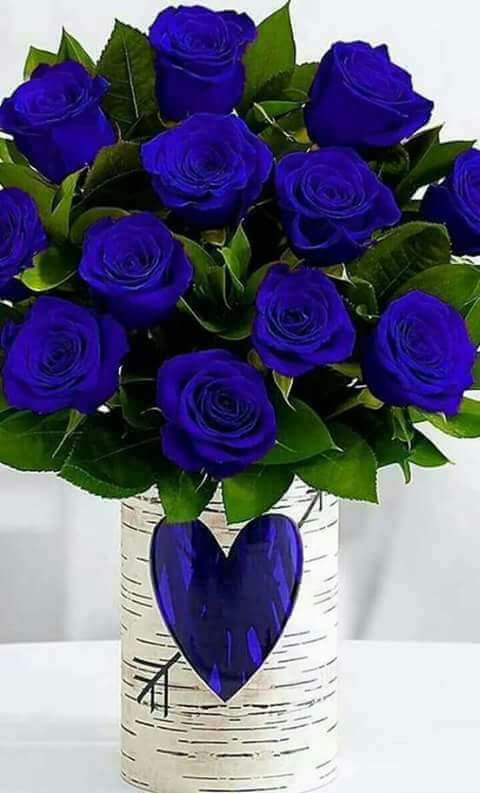 Beryl Moreland On Twitter Good Morning Beautiful People Feeling