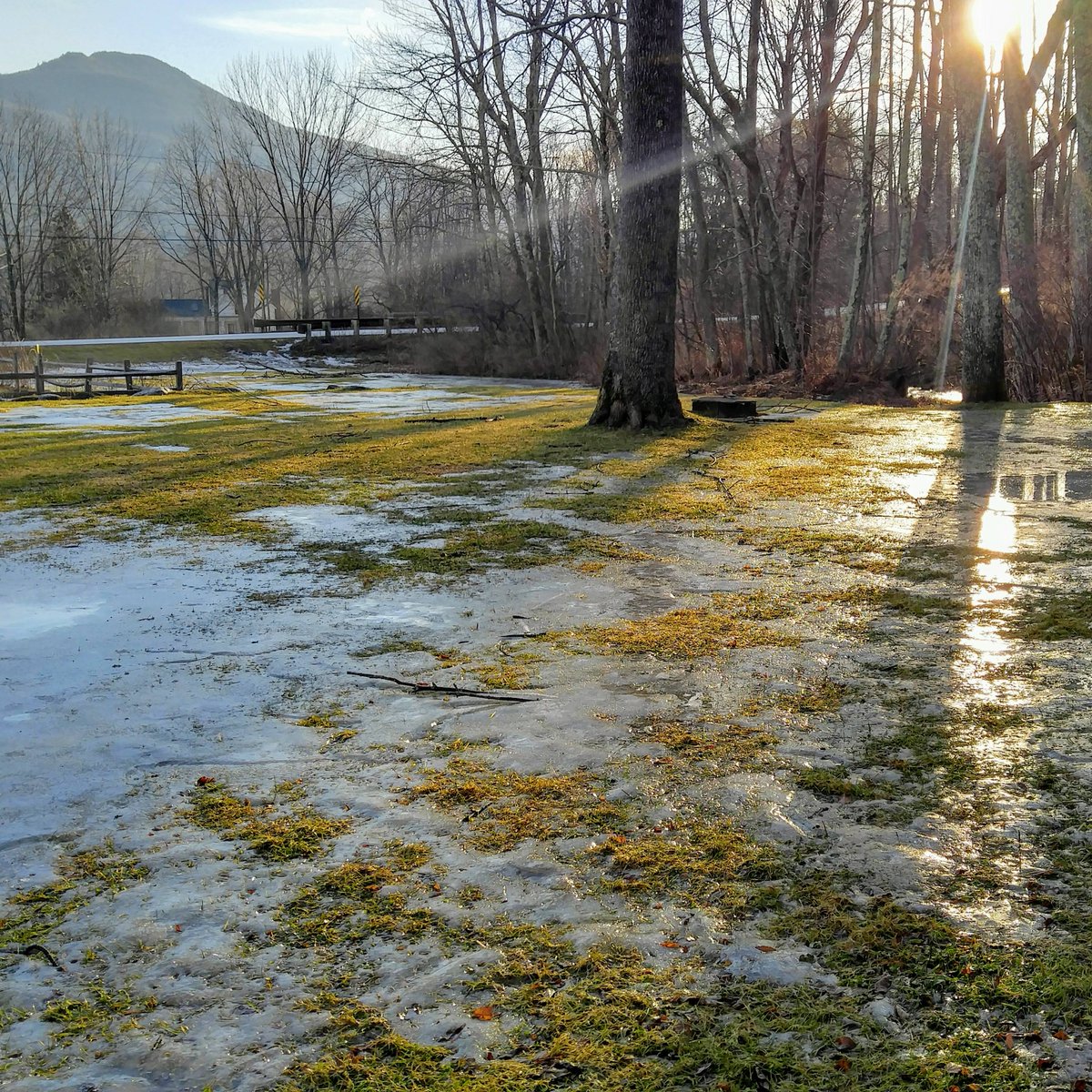 The Marble West Inn tweet media