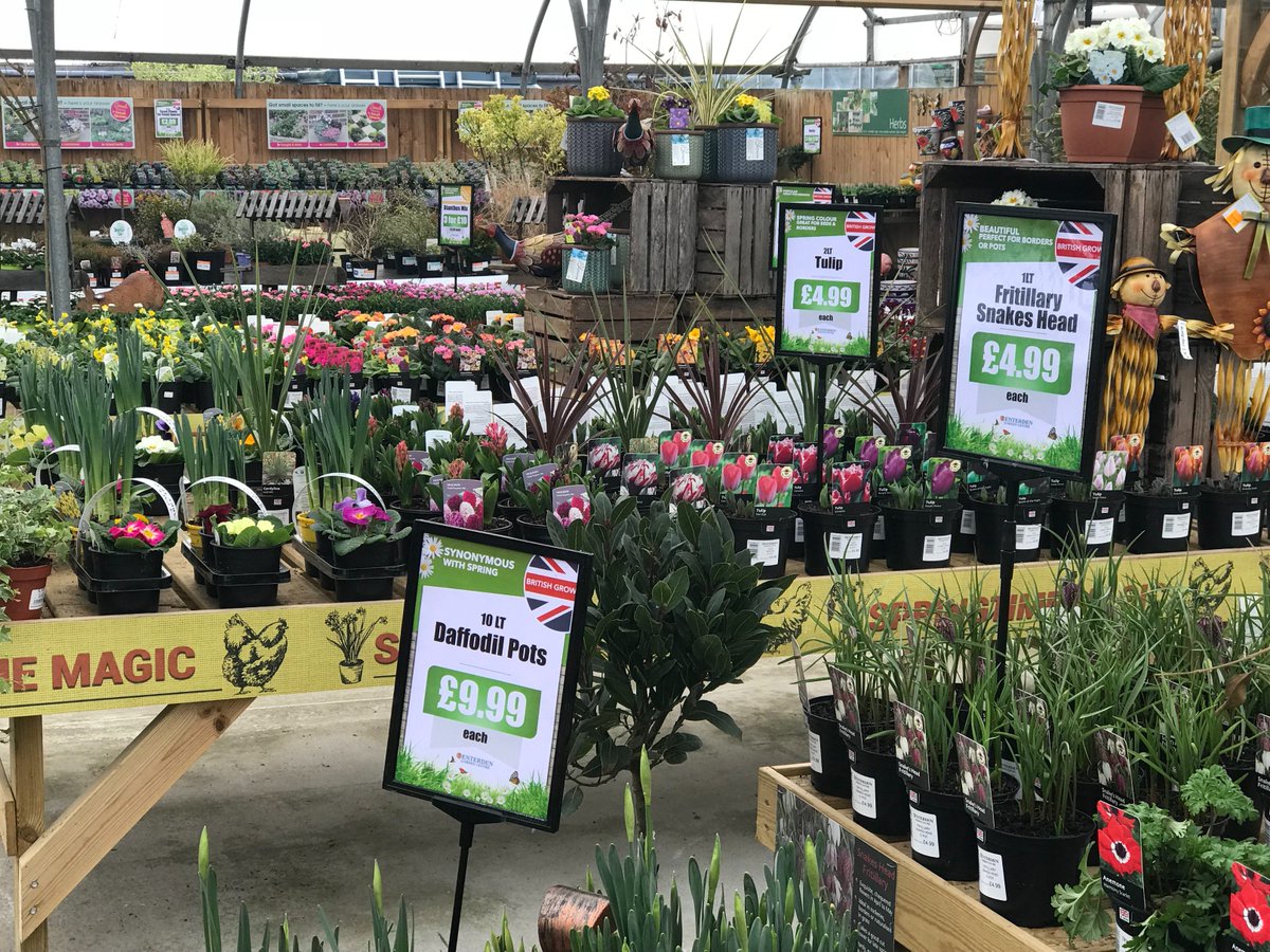 We know the weather is predicted to turn #Tenterden but someone might need to tell our plant area that...#springhassprung #supportlocal