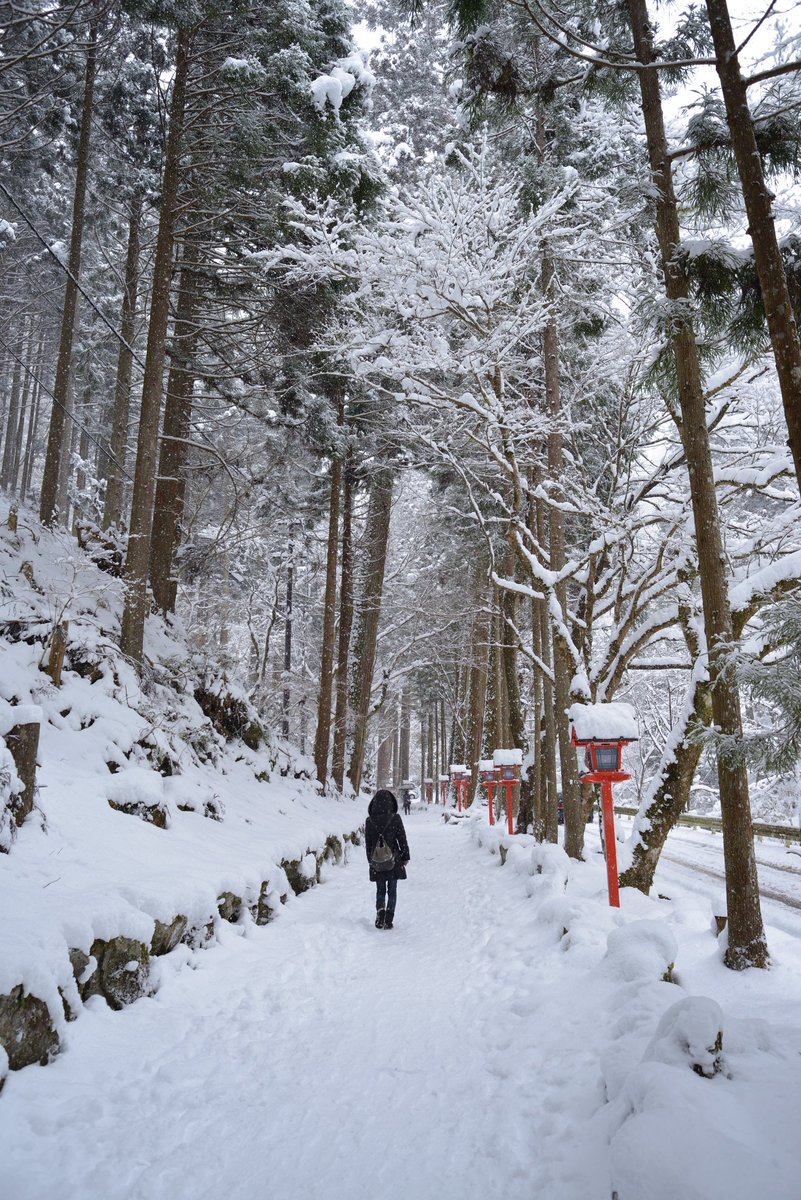 にこんくん™🍅🍰♨️🍝🐕️🎠(cv ｲｹﾒﾝお兄さん) tweet media