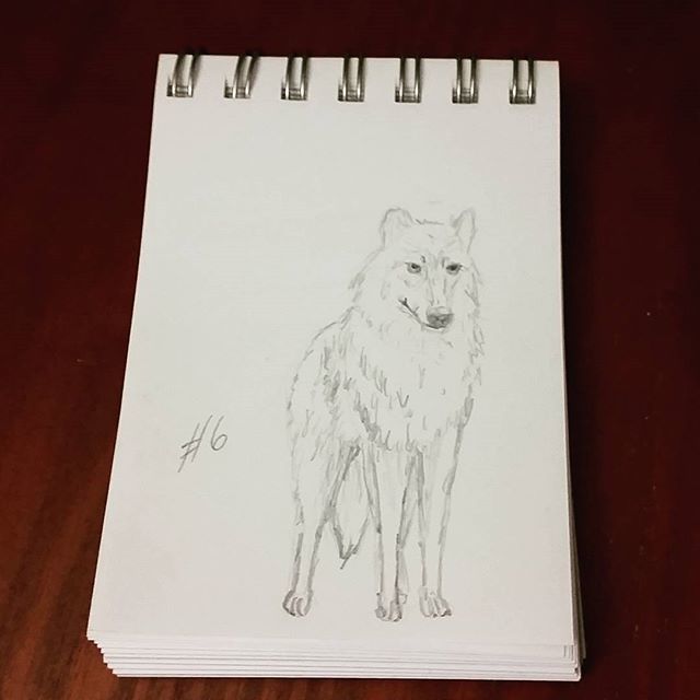 live_love_maria's tweet photo. Wolf sketch 6 for my #AWolfADay
Having fun sketching wolves ๐บ
I just wish the days had more hours, so I could get more sketching in.
This is for a fanart comic project I am working on. Find out more on my blog (on my page - link in bio) https://t.co/5UO0ijobl3 https://t.co/ca5SWKG3ep