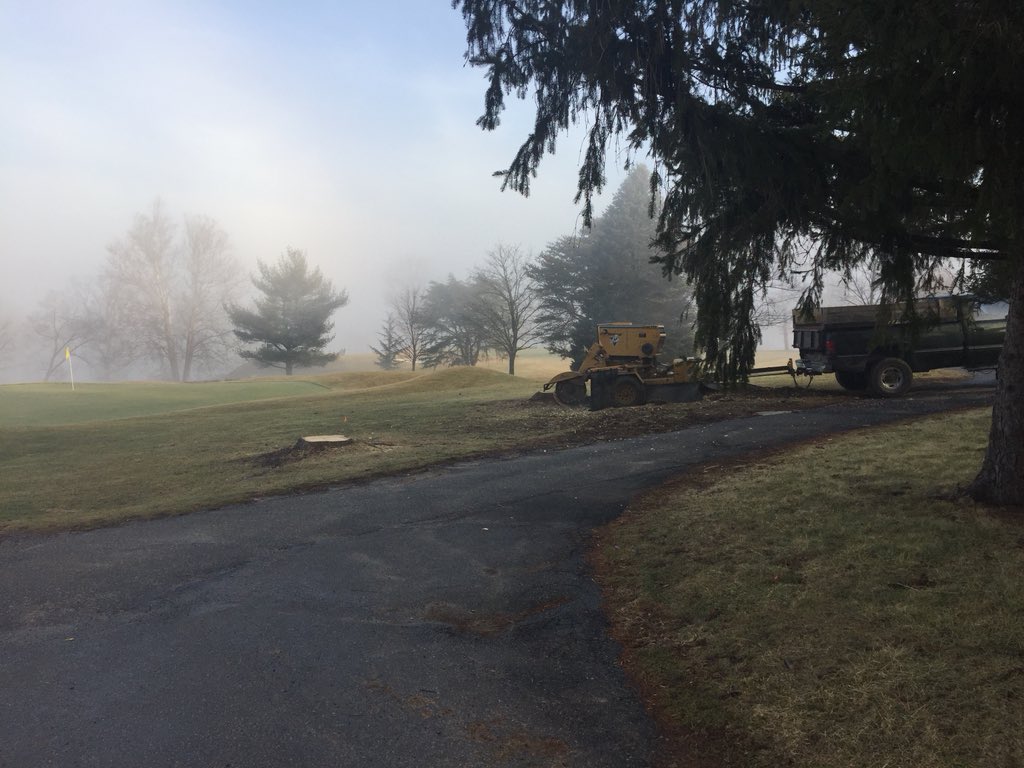 kempsuturf's tweet photo. Stump grinding beginning this morning #paturf #notreadyforcleanup https://t.co/zKGKqBwu02