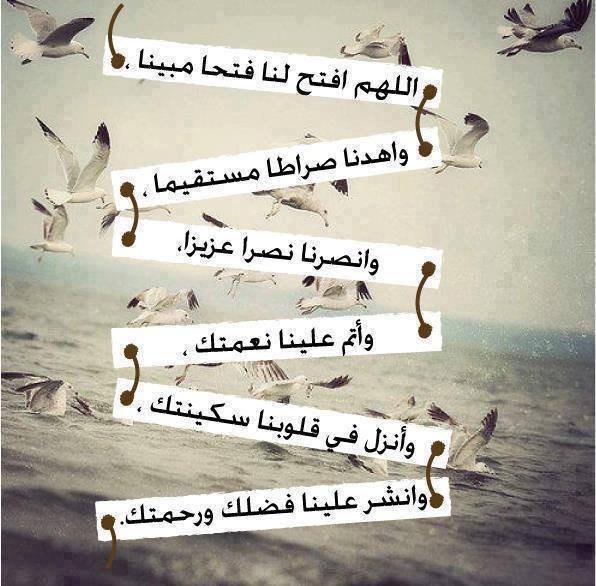 الحمد لله (@8o7oo) on Twitter photo 