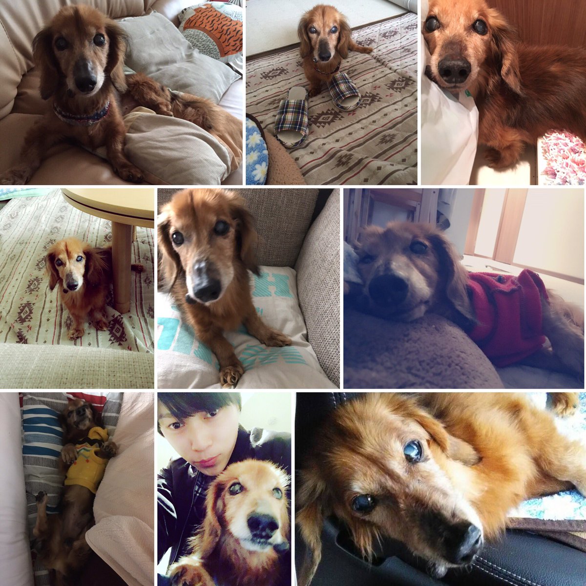 西野 太盛 Taiiiseiii Twitter