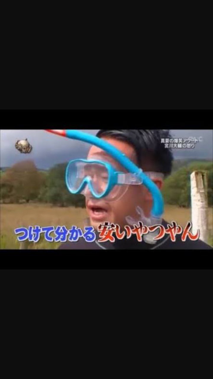 コイキング育成係 Koikingu Love Twitter
