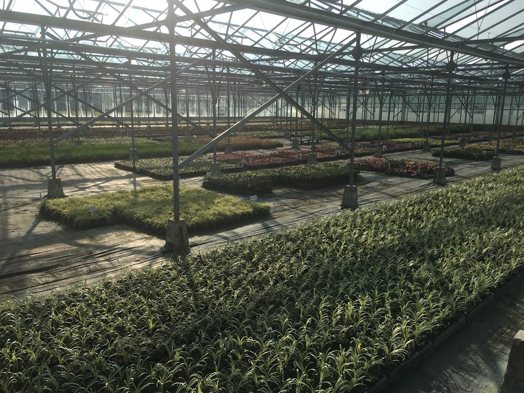 Listening to <a href="/ClassicFM/">Classic FM</a> while doing work in a greenhouse with the sun out, can not get much better than this!.. am I able to make a request in asking to listen to Victorian kitchen garden by Emma Johnson? 😊