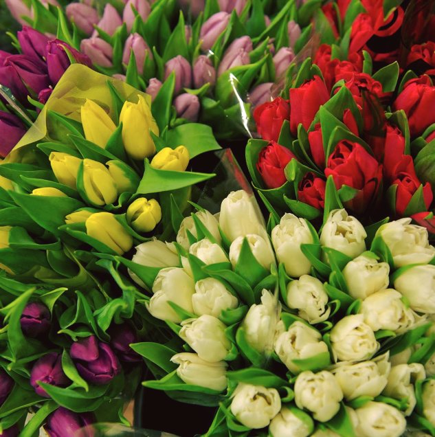Handmade using the finest, brightly coloured tulips, delight the senses and brighten up your home with the Tulip Zest #Bouquet, the perfect gift for any occasion. ow.ly/tfbV30ig8JR #Florist #Harrogate