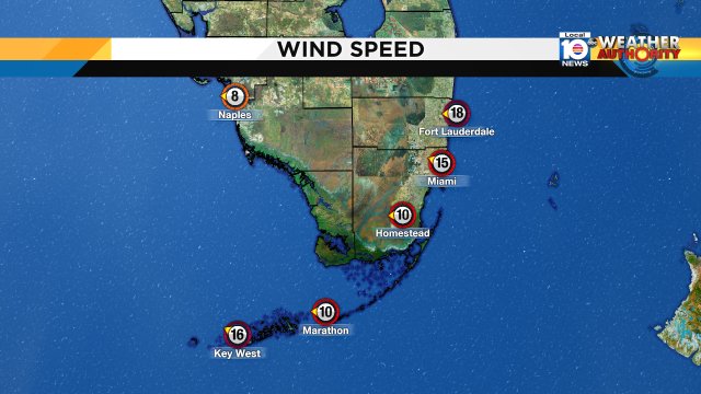Morning get ready for a windy Wednesday! Watch local10 for more on the forecast. https://t.co/1G0q3Mz0t3