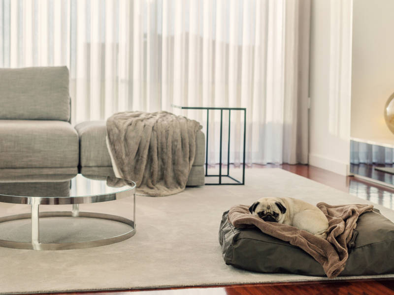 Gilbert_Ins's tweet photo. Are you anxious for the warm #weather to arrive? Here's how you can get your #home ready now: https://t.co/8sO8q3UuAo via @ReadingMAPatch https://t.co/XQbCCrcGH3