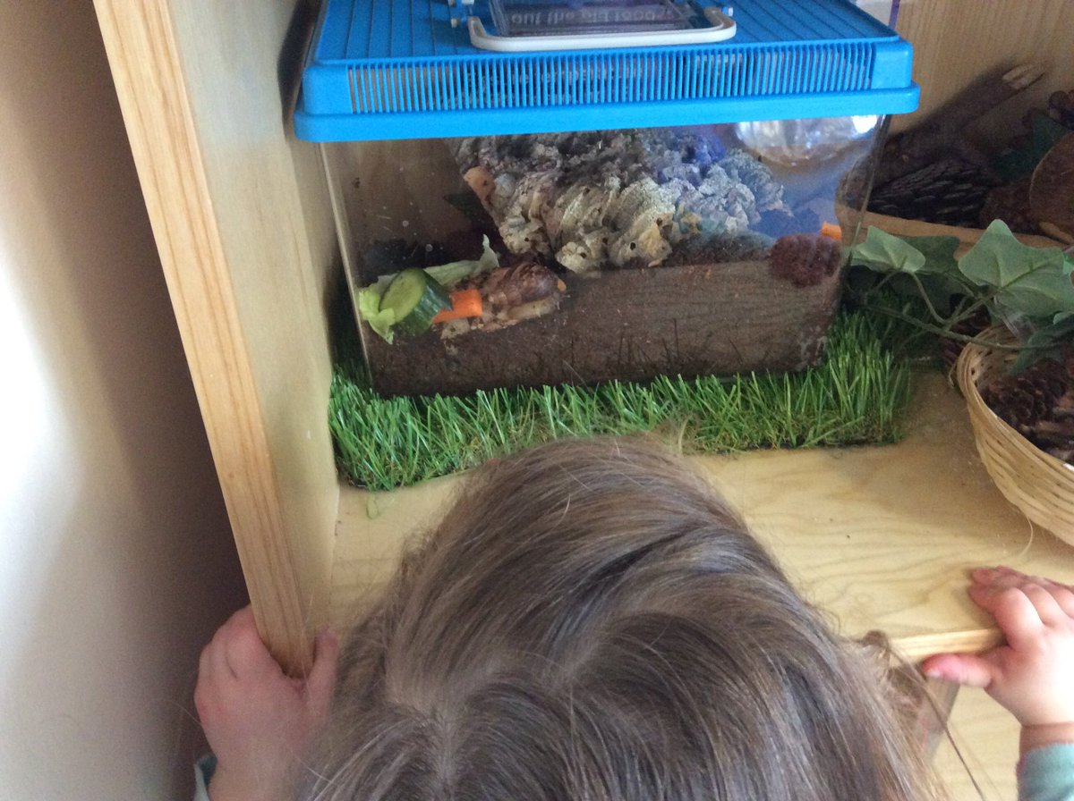 _Garythesnail__'s tweet photo. Can you spot me eating my morning snack? (cucumber, of course) the children have also been saving me some vegetables this week too - yummy! https://t.co/vwtM3qnIrX