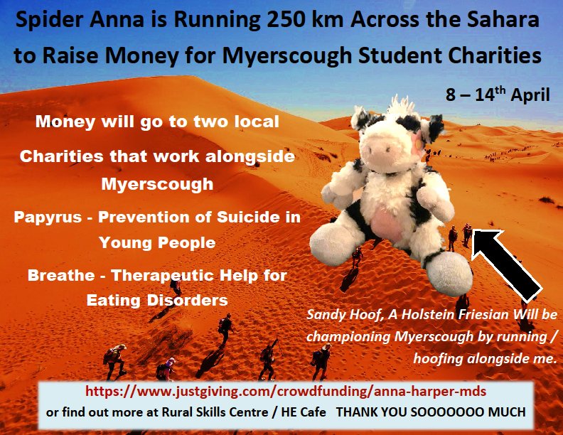 AEHarper48's tweet photo. Sandy Hoof a Holstein Freisian is running / hoofing across the desert with me as my @MyerscoughColl Mascot to raise funds for Breathe https://t.co/AR4vQHI4yk and Papyrus https://t.co/gFVC0a1get https://t.co/YoUnPFjATK