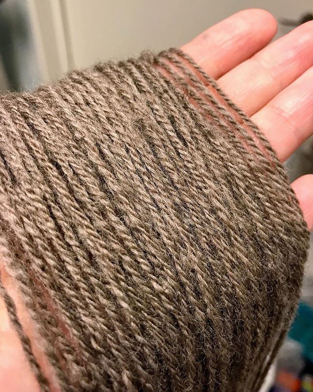 Friday_Studios's tweet photo. Gorgeous grey brown Swedish wool. Washed, combed and spun by me.
#handspun #handspinning #swedishwool #navahoply #threeply #combed https://t.co/fprqB6g4ms https://t.co/wXgat3r4g9