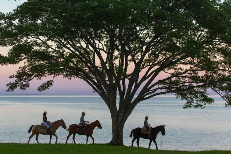 ¿Sabías? Ahora podés alojarte en los Esteros del Iberá en una estancia del siglo XIX reciclada como eco hotel. Tiene huerta orgánica, ofrece cabalgatas y...Mejor, leelo acá: descubrirturismo.com/conocer-corazo…

<a href="/TurismoenCtes/">Turismo Corrientes</a>