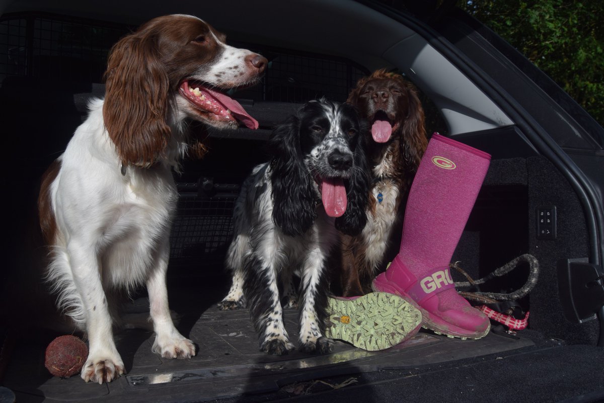 GrubsBoots's tweet photo. #nationalpetday ready for a walk #JoinTheAdventure with @GrubsBoots #adventure The worlds first Walking #Welly #WellyWednesday #DiscoverTheDifference Powered by @vibram #TestedWhereItMatters https://t.co/6vfcvEUzI5