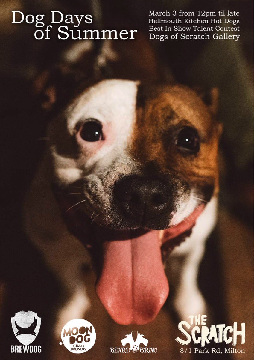 TheScratchBar's tweet image. Dog Days! Send us a photo of your best dog pal and we’ll put em in our photo gallery or enter them in the talent comp! Prizes! Beers! Dogs!