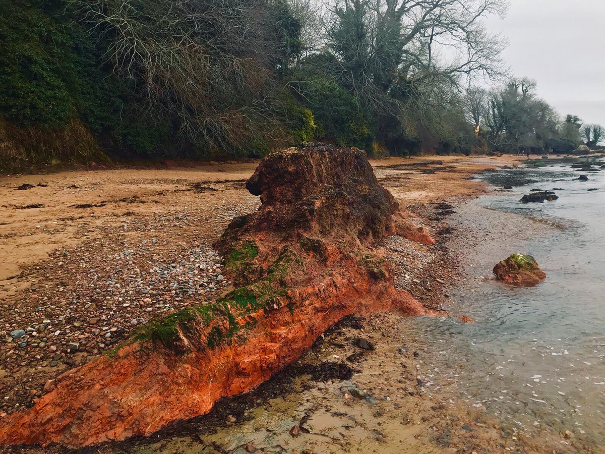 TheAyeLife's tweet photo. Hunting for my supper in the bloomin’ beautiful rock-pools at Rosemarkie beach... 😏😍 Happy hump day troops! #FindingFish #ScotSpirit #WednesdayWisdom https://t.co/LWhIwLhBD1