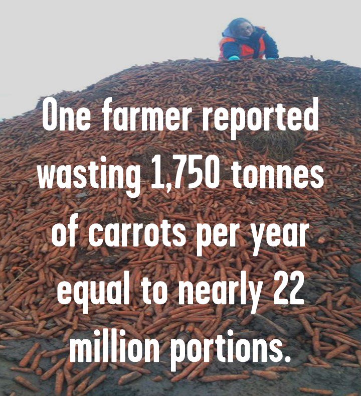 wearefoodrise's tweet image. Our new report highlights how supermarkets drive #foodwaste on UK farms feedbackglobal.org/reports/