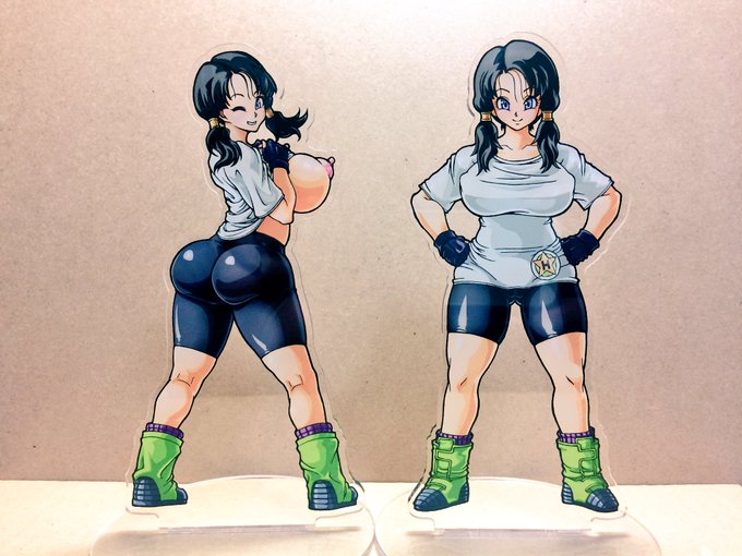 初めての同人作品がビーデルさんになるとは 