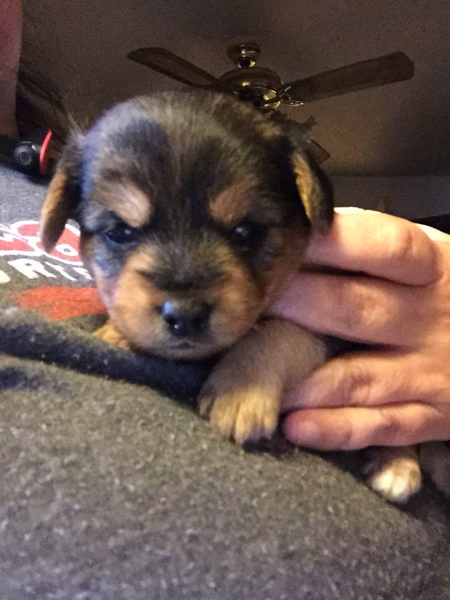 AngelaColorz's tweet image. Happy Hump Day! Is it Friday yet?