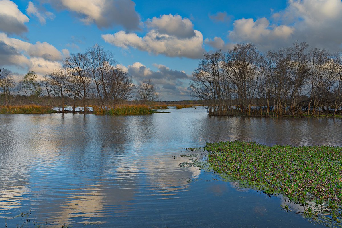 nattygur's tweet image. #CAS 25-Organizations base on #ComplexAdaptiveSystem need to realize: 
Far From Equilibrium. In 1989 Nicolis &amp;amp; Prigogine showed that when a physical or chemical system is pushed away from equilibrium, it could survive and thrive. If the system remains at equilibrium, it will die.