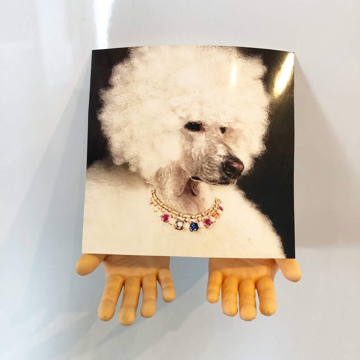 thinkjar_'s tweet image. Beginning of a capacity building lab around human centered service design and systems practices with the stellar folks from @ASEBP  We’re in the amazing @skillssociety Action Lab 🔬 #actionlabyeg #designthinking #systemicdesign