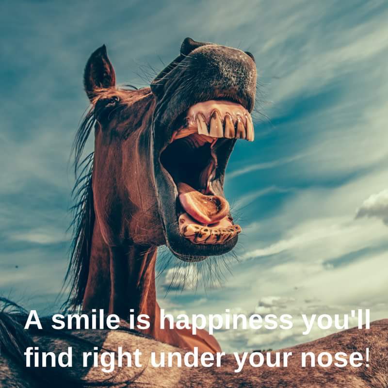 Arthur O' Connor (@arthuroconnor29) on Twitter photo 