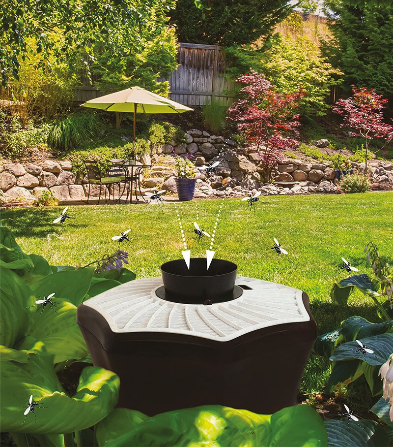 BiogentsAG's tweet photo. Highly efficient tiger #mosquito #traps presented at the Capital Remodel + #Garden Show, Dulles Expo Center, #Chantilly, VA, February 23-25! Come and visit Biogents at booth no. 424 and learn more! #mosquitotrap #tigermosquito @CapitalShows @DullesExpoCtr https://t.co/6FmAceHVe0 https://t.co/lfD9ZGutSd
