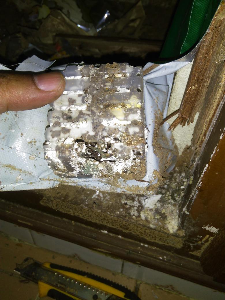 Vector protection tweet media