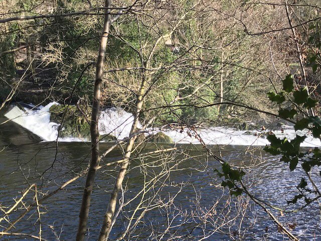 Miller_Goodall's tweet image. Idyllic site for our #project with @BarnfieldCLtd today #Construction #soundinsulationtesting #engineering #architecture #design #noise  millergoodall.co.uk