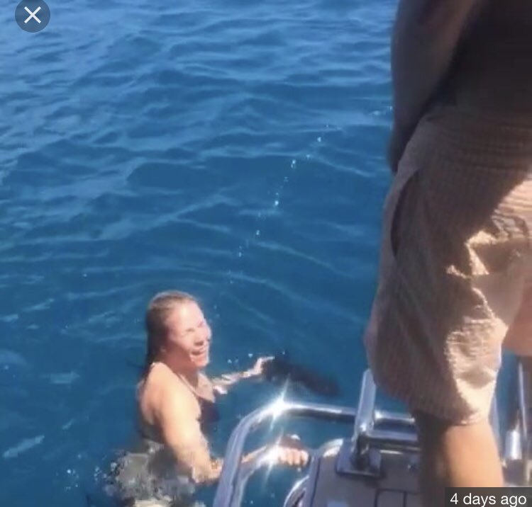 _PepperRed_'s tweet photo. @sidrosenberg @chelseahandler Careful Sid! I called this hag out on more than a few occasions about her idiotically uninformed posts and it got me banned for a while there! #ChelseaHandlerHumanUrinal https://t.co/4ARS5H9SFa