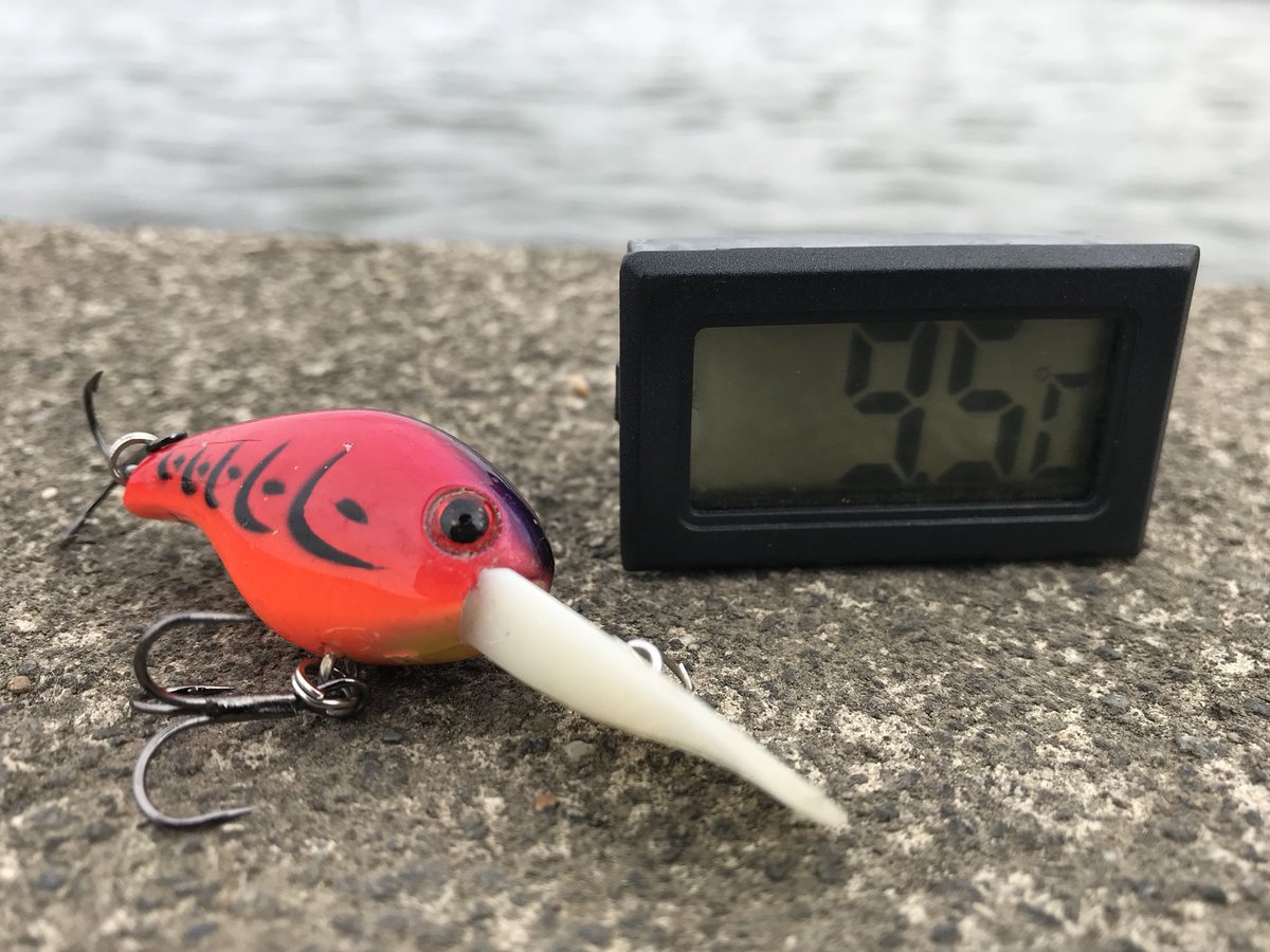 カスブラ 霞ヶ浦東岸14時 日に日に高まる水温 日に日に高まる人間の期待 それと北浦のメルヘンにルアートラップが仕掛けられていたので他の人気場も注意 毎年恐ろしい バス釣り 霞ヶ浦 北浦 霞ヶ浦水系 Bassfishing 春バス釣り ミノーパターン カスブラ 霞ヶ浦東岸14時 日に日に高まる水温 日に日に高まる人間の期待 それと北浦のメルヘンにルアートラップが仕掛けられていたので他の人気場も注意 毎年恐ろしい バス釣り 霞ヶ浦 北浦 霞ヶ浦水系 Bassfishing 春バス釣り ミノーパターン