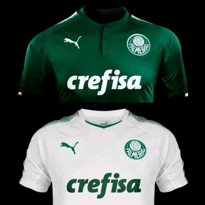 puma palmeiras venda