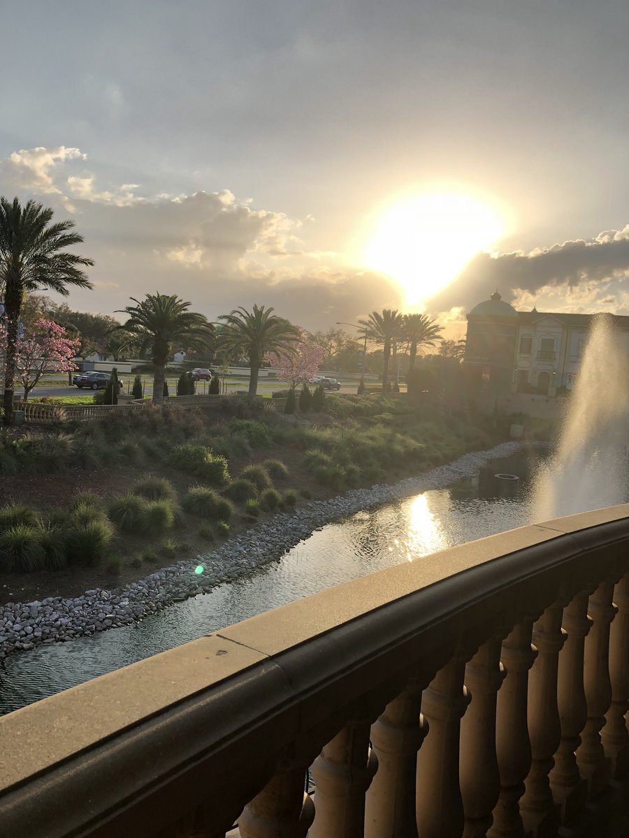 Sidney Ray tweet media