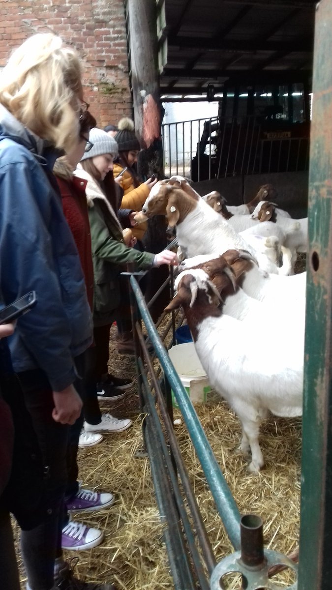 staffscounpsych's tweet photo. Feeding the goats on our field trip to Beaudesert Care farm with Psychology and Counselling students https://t.co/N9AVhlm2zZ