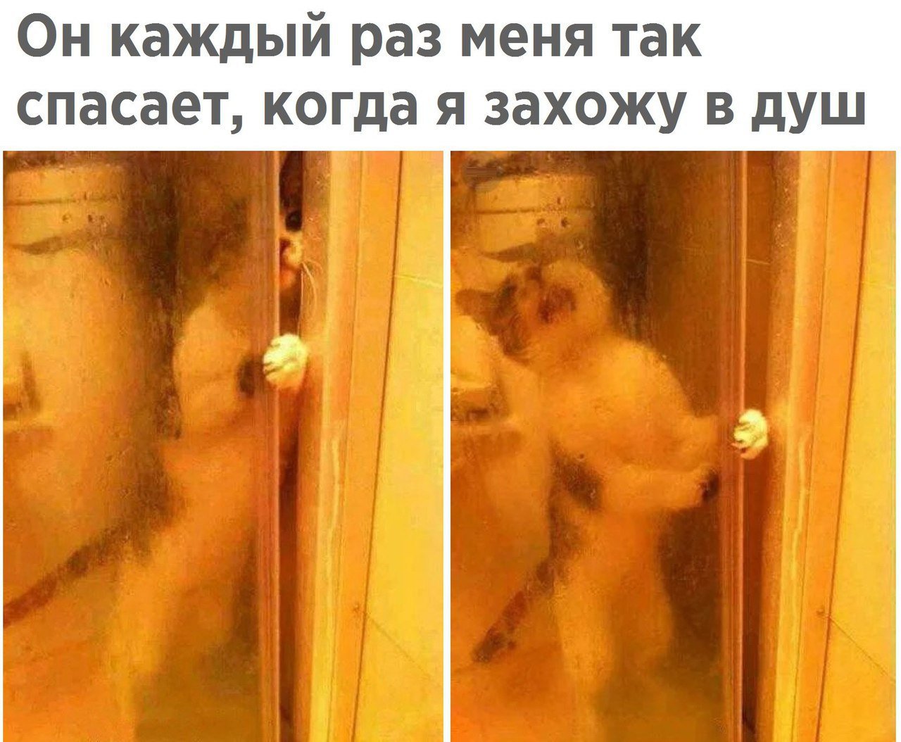 Прикольные картинки с надписями про душ, массаж открытка открытки