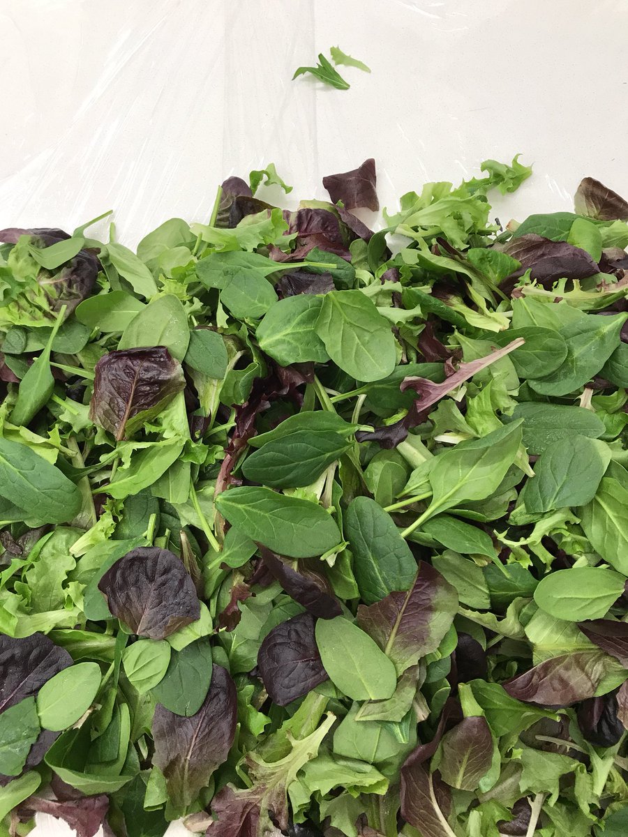 LizDinsmoree's tweet photo. @WholeFoods I purchased a pound of your organic Spring Mix, which includes Mizuna as an ingredient. I got two leaves. Please sell Mizuna on its own. It’s such a cute lettuce! Bring it to the people! #bringusmizuna #mizunatothepeople https://t.co/p7IzJSPH4W