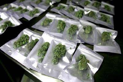 ArmyOfPotheads's tweet photo. @LARRYIRBY6 @Michael57645022 @_jena4n @Jweeds_420 @afterdarkmusic @crazybatmanfan @AlexCassista @james_bong13 @Cogitatorium @4Rare420_Rx @NorCalStoner420 @Kunzitoons @EmeraldZoo @tripprrr @420linksuk @dankcreative @Dragonzwing14 @CANNiLIVE @UncleTweezy @kiyomihutson @Bklynbby @thcmed @CrossFollower12 @BoyGiuly @Kooky_420 @Hippie_of_Love @BarryRo61831082 @Norstackk @loudbank @mzstoned @NurseMaryJInk @T0High @LoriLNoel2 @and1_grant @blakeb6969 @ReeferMcGee @jerryrickman1 @CannabisFN @kidz_net @karmapolicebust @weed675 @KeeslingT @Calrtipper @CaliFarmerMan @AmeriCannaBlunt @Keetatay @BlitzenKC Wish we were there with you #PotMasterGeneral! Nice view...Be sure to report back on the beach situation!
Do you need reinforcements @LARRYIRBY6? Kush kush kusshhhhhhh Ready to call it a day and head on over...Over! ....... .... ....Sir? https://t.co/kC02PKsvEa