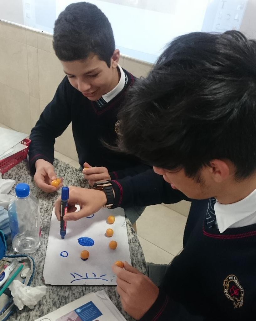MissZanstra's tweet photo. Turns out that uvillas are a great local substitute for grapes to allow Y9 to draw the phases of the moon! #BSQ https://t.co/6IJzUDrHC9