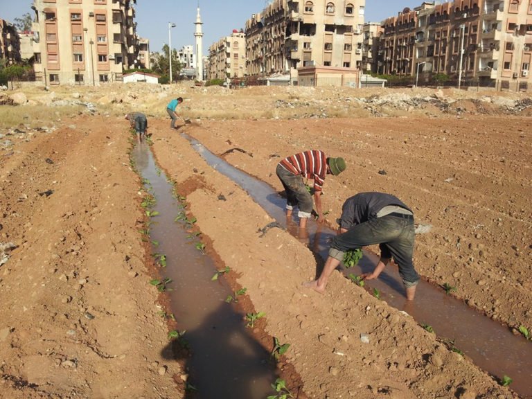 EetbaarRdam's tweet photo. Workshop: The 15th garden - between #selfdetermination and political crackdown (EN). Ansar Hevi about the #15thGarden, a network of #urbangardens and #agriculturalprojects in #Syria https://t.co/ygDEwVrcXd #reclaimtheseeds #ergroeit #bluecity010 https://t.co/bRNC7JVRQ3