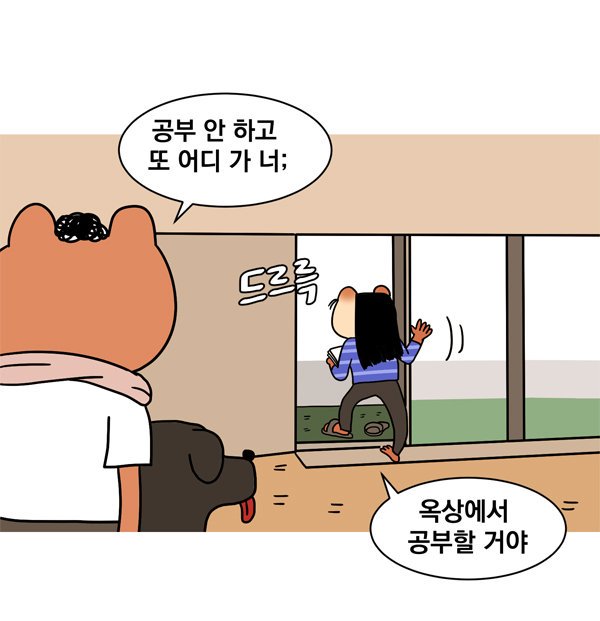 빨루 tweet media