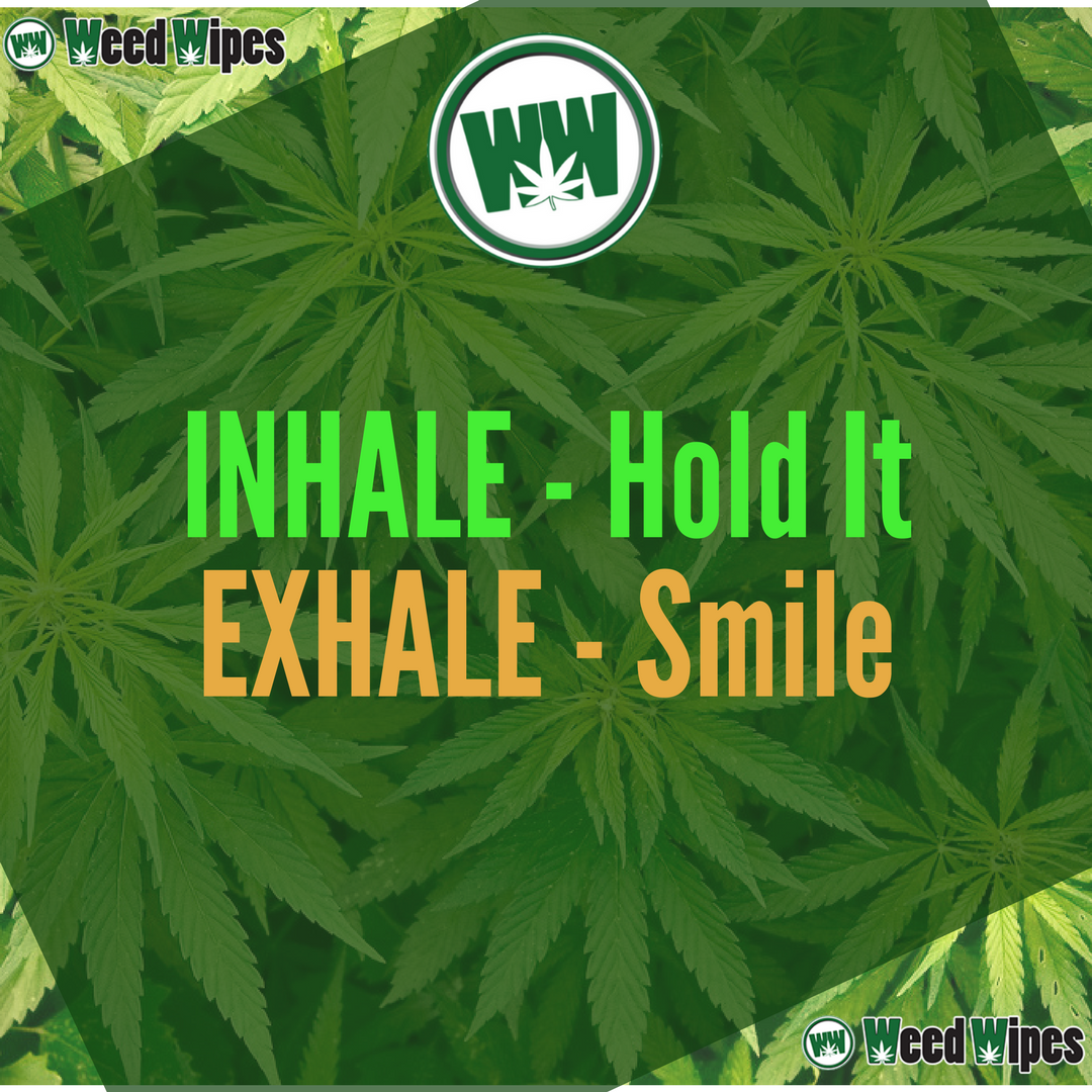 WeedWipes's tweet photo. 🔥💥 Smoke Weed Not Your Resin 🔥💥
#WeedWipes #ResinRemover #Marijuana #Weed #PipeCleaning #BongCleaning #Denver #Cannabis #WeedFacts #CannabisCommunity #MarijuanaQuote #MedicalCannabis #WeedHumor #WeedFun #MarijuanaNews #Tuesday #WeedyWednesday https://t.co/wNBJaPL14v
