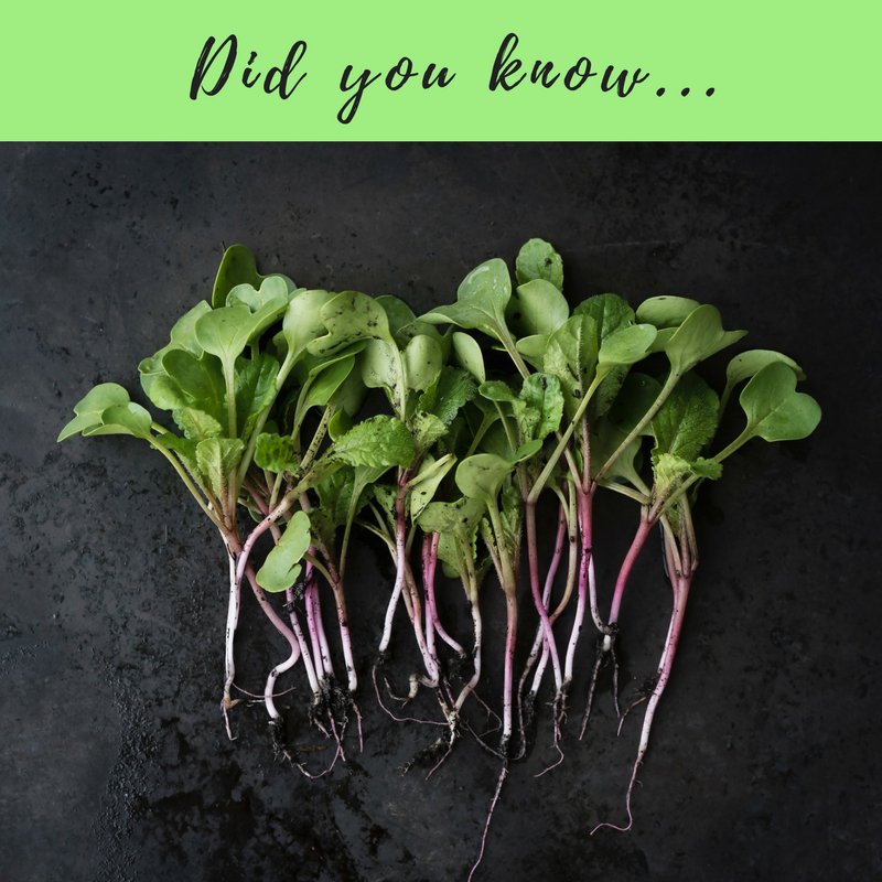 Bitter foods are amazing for your liver &amp; your liver plays a super important role in keeping your hormones balanced and happy. You won't have perfect periods or optimal #fertility unless your liver is feeling the love. Read my newest post here: ow.ly/huxl30ivNpk #healthy