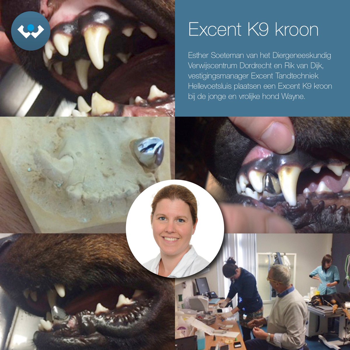 Excent_eu's tweet image. Helpende handen voor mooie tanden, zelfs voor uw huisdier! #K9 #HappyDog