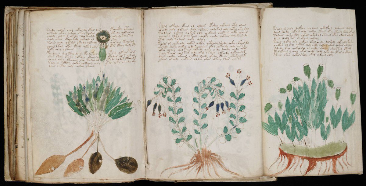 Seanku's tweet image. Researchers @UAlberta are using #ArtificialIntelligence to decipher the text in the 15th-century Voynich manuscript bit.ly/2HwOoj0 #Natural_Language_Processing #Unsupervised_learning @folioUAlberta