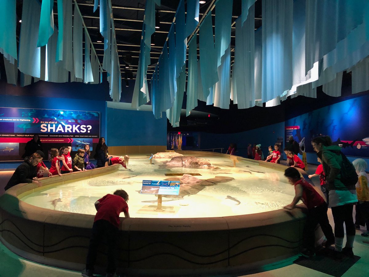 MrsErinMohr's tweet image. The zoo all to ourselves?! Don’t mind if we do! #studytrip #research #learningfromexperts @FEShseIN