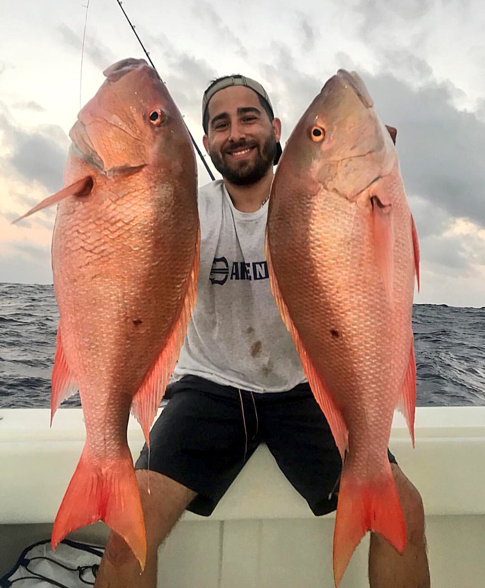 benth_roller's tweet photo. RT https://t.co/gNJnvEnhfb RT https://t.co/5GtztS4IUF RT https://t.co/pNLH5o6pWw RT https://t.co/A919l4vos3 Wake N’ Bait Wednesday @wreckless_fishing edition #wakenbait #muttonsnapper #snappe… https://t.co/DYyIDxDWIk