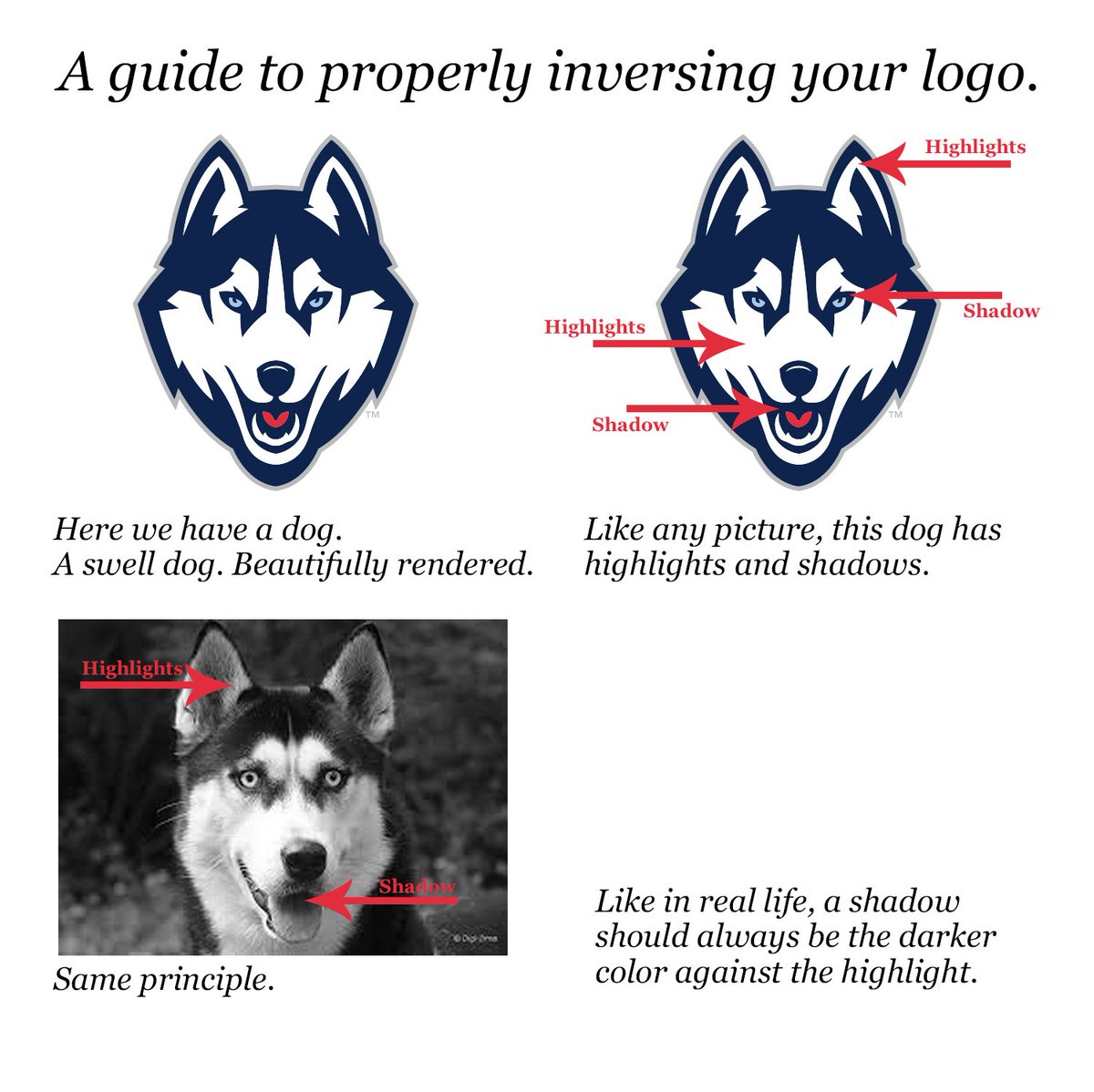 Ghost Logos tweet media