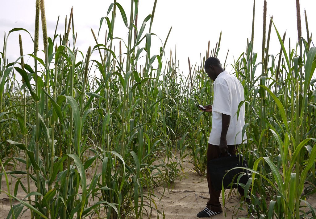 WorldBankAfrica's tweet photo. How technology will disrupt and transform #Africa’s agriculture sector -- @simeonehui shares his perspective: https://t.co/6rURuIK34y https://t.co/A1dDSyNn6O